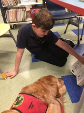 boy-reading-to-dog