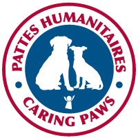 Caring Paws Animal Therapy